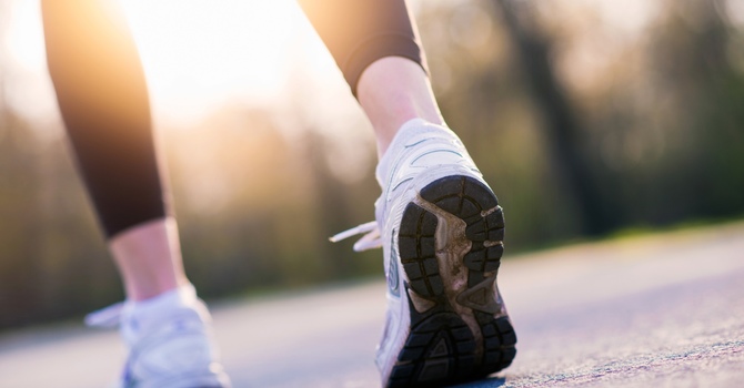Chiropractic/Spinal Therapy